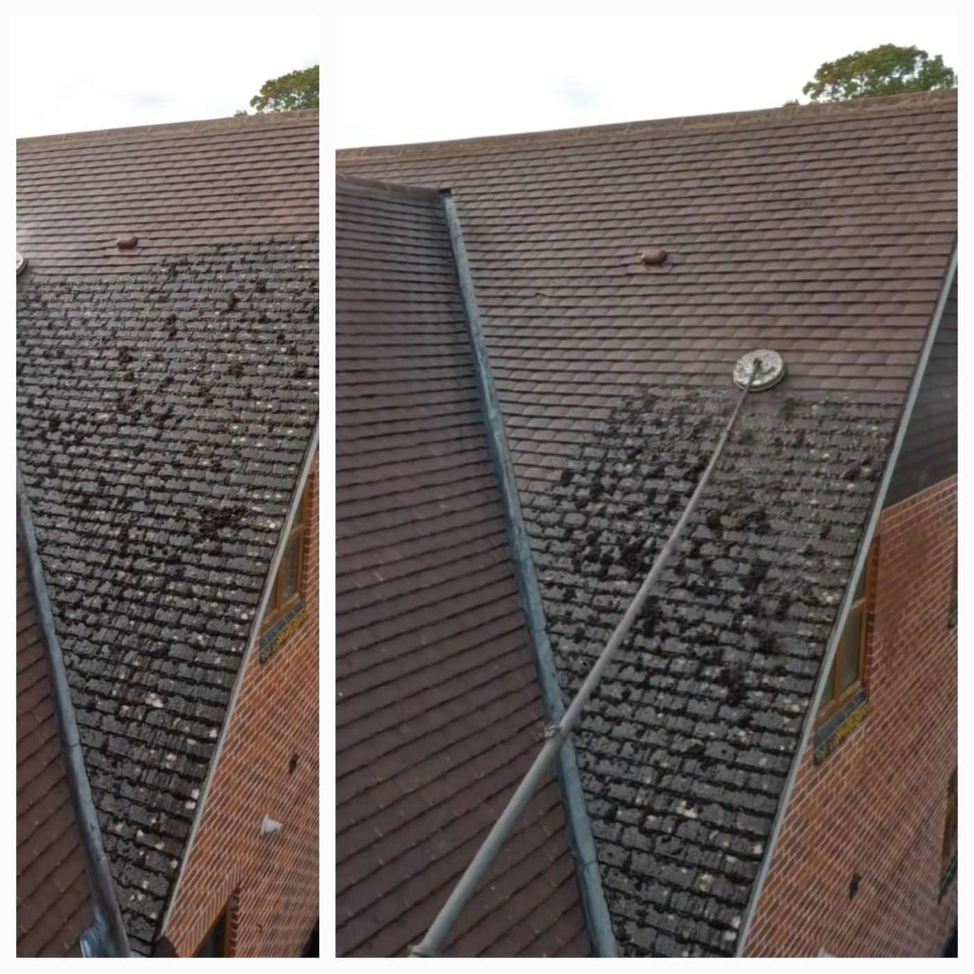 Artisan Lam - Réalisation portfolio 1